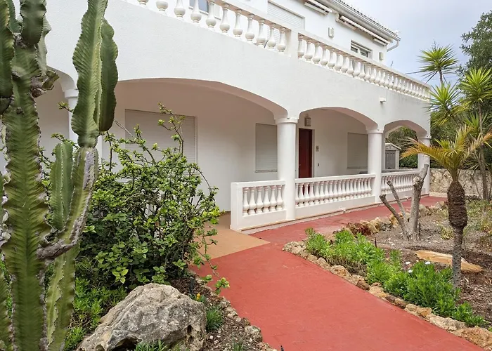 Cristo - Plum * ラゴス