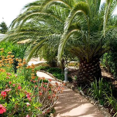 Cristo - Plum * Лагуш