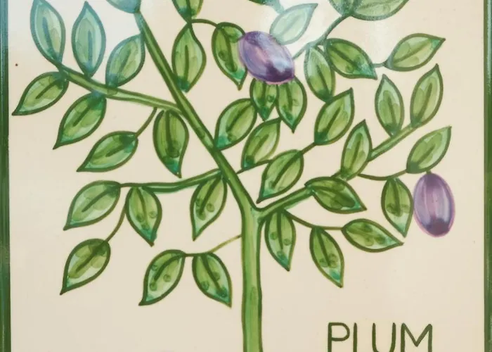 公寓 Cristo - Plum *